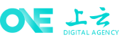 上海软件开发公司